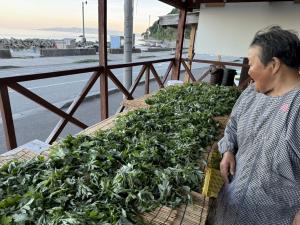 ヨモギの商品化