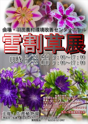 山野草展ポスター