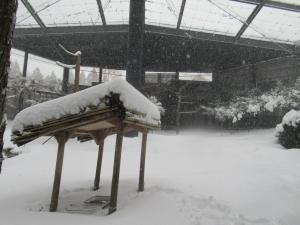 雪のケージ内