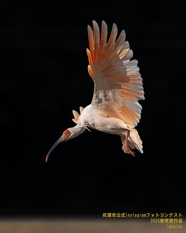 第3期優秀賞作品