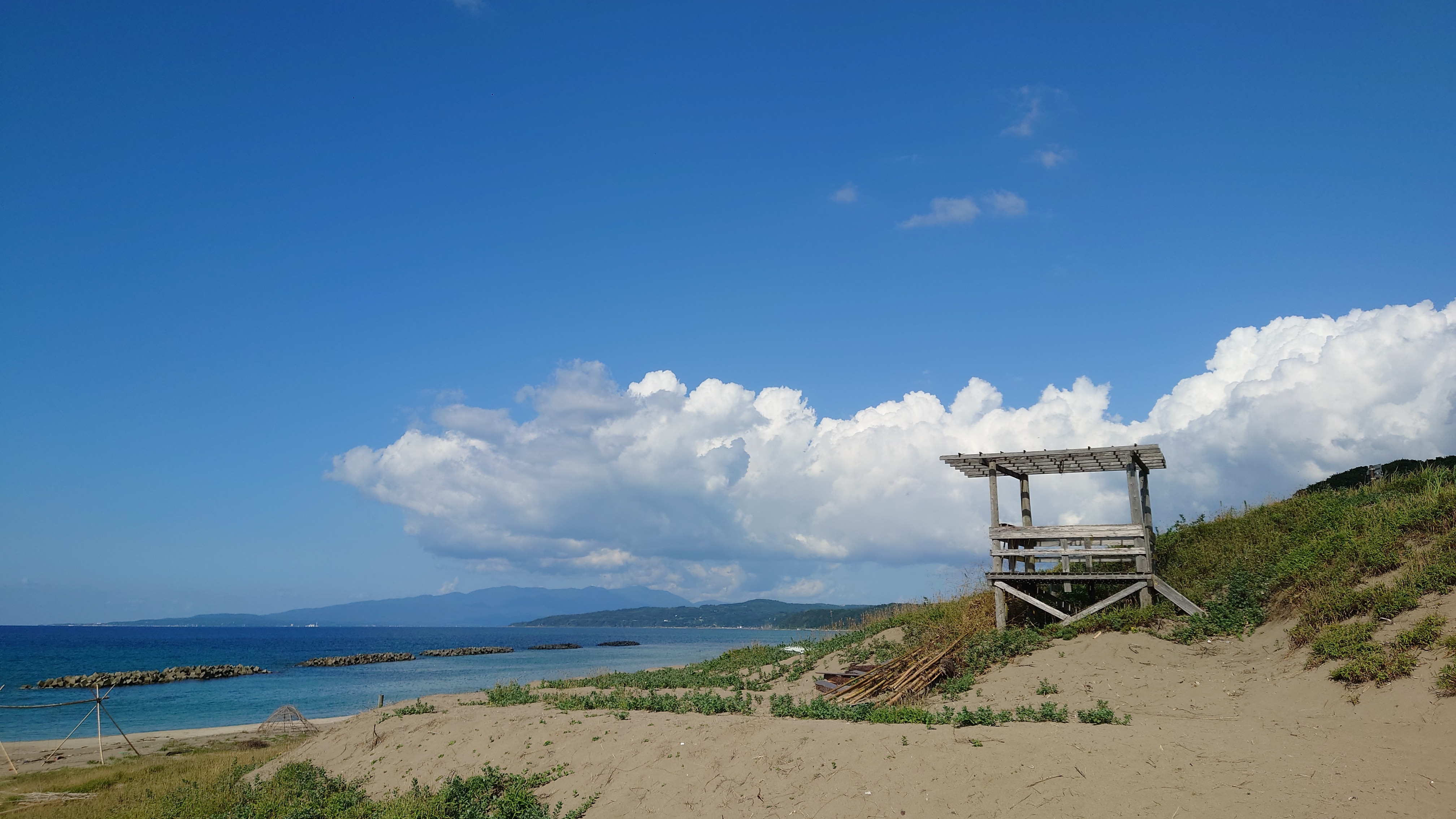 素浜