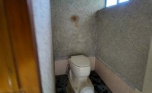 内観