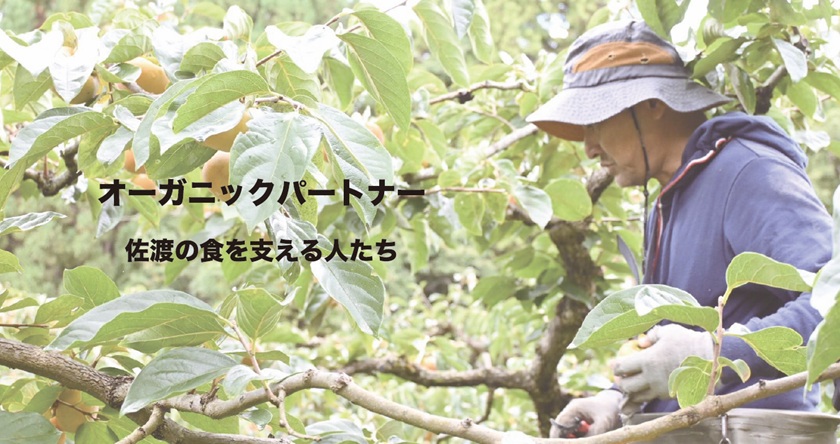 オーガニックパートナー