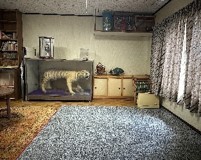 内装