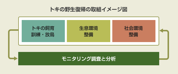 トキの野生復帰の取組イメージ図