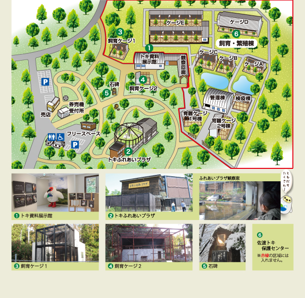 トキの森公園案内図の画像