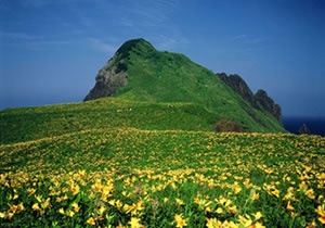 大野亀の画像
