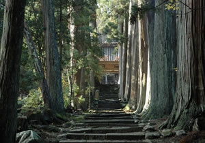 清水寺の画像