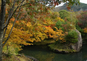 紅葉山公園の画像