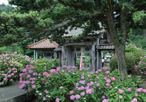 蓮華峰寺の画像