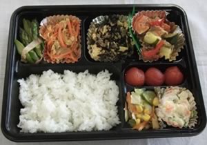 おとろえん弁当