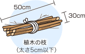 燃えるごみの例：植木の枝（太さ5センチ以下、長さ50センチ以下）