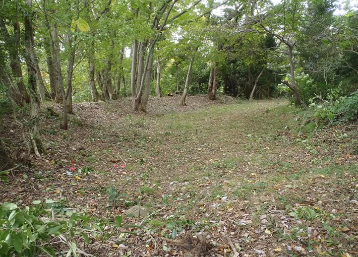 image:Pond and dike