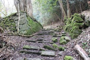 興禅寺石段・石垣の画像