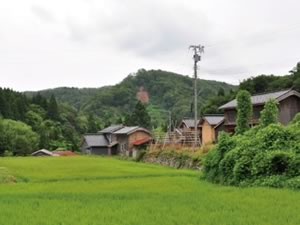 虎丸山の画像