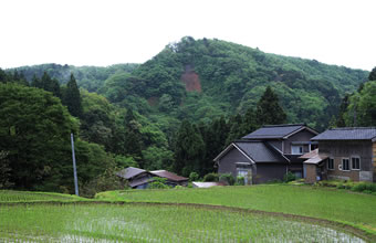 虎丸山