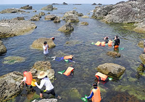 「こども環境学習会」、新潟大学附属臨海実験所での実習風景