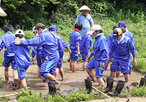 小学生が田んぼで、トキの餌場となるビオトープ整備をする様子