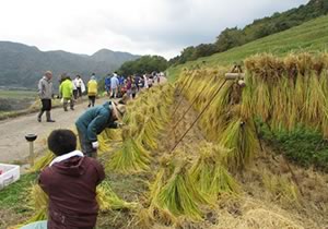 「交流住居・定住促進対策事業」。さど暮らし体験モニターツアーの画像