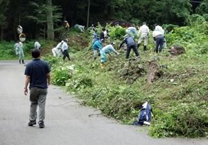 「世界遺産登録推進事業」。西三川砂金山遺跡（構成資産の1つ）の美化活動の画像