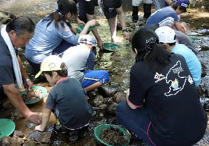 世界遺産普及啓発・情報発信事業:親子で砂金採り体験(笹川集落)の画像