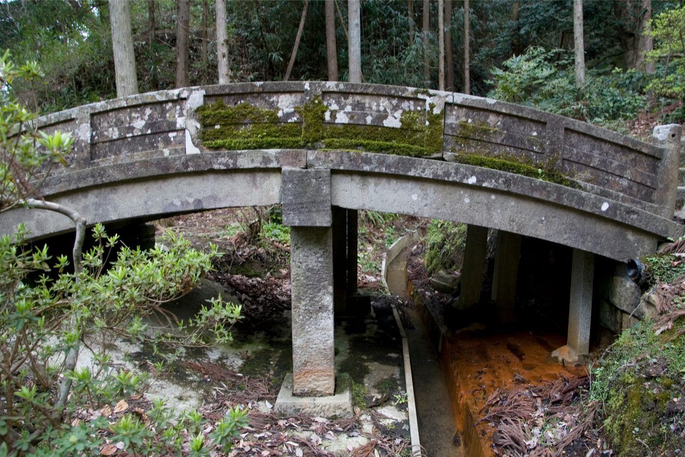 蓮華峰寺無明橋の画像