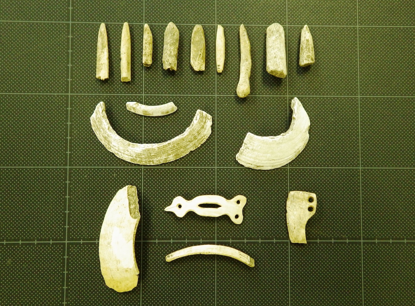 三宮貝塚出土骨角器・貝製品の画像