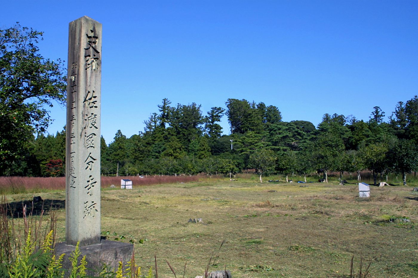 佐渡国分寺跡の画像