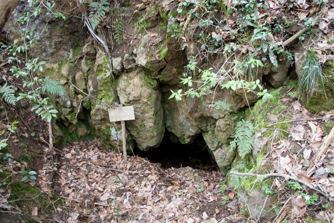 佐渡金銀山遺跡　鶴銀山跡の画像