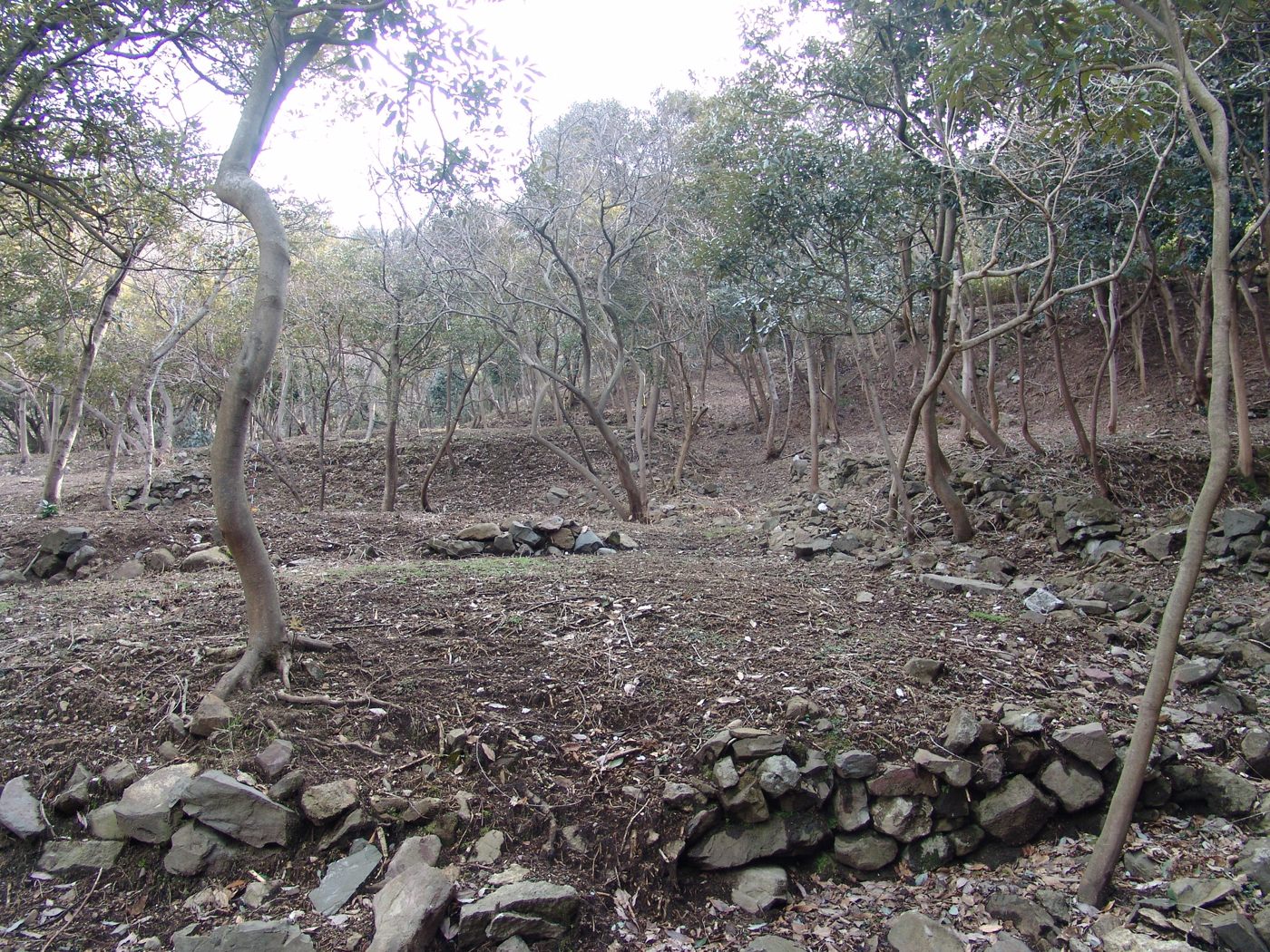 佐渡金銀山遺跡　上相川地区の画像