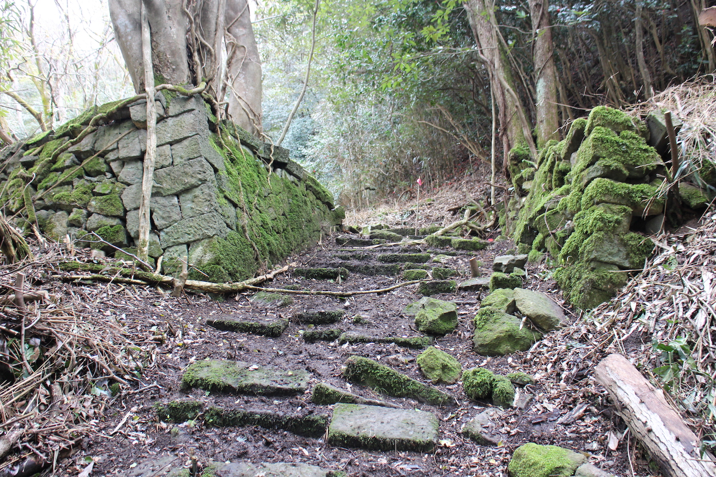 佐渡金銀山遺跡　上寺町地区の画像