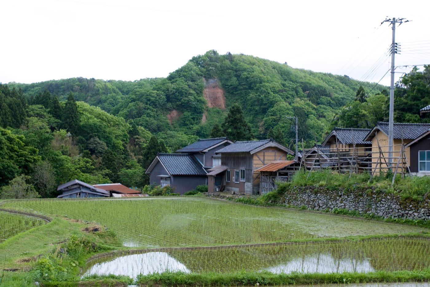 佐渡金銀山遺跡　西三川砂金山跡の画像