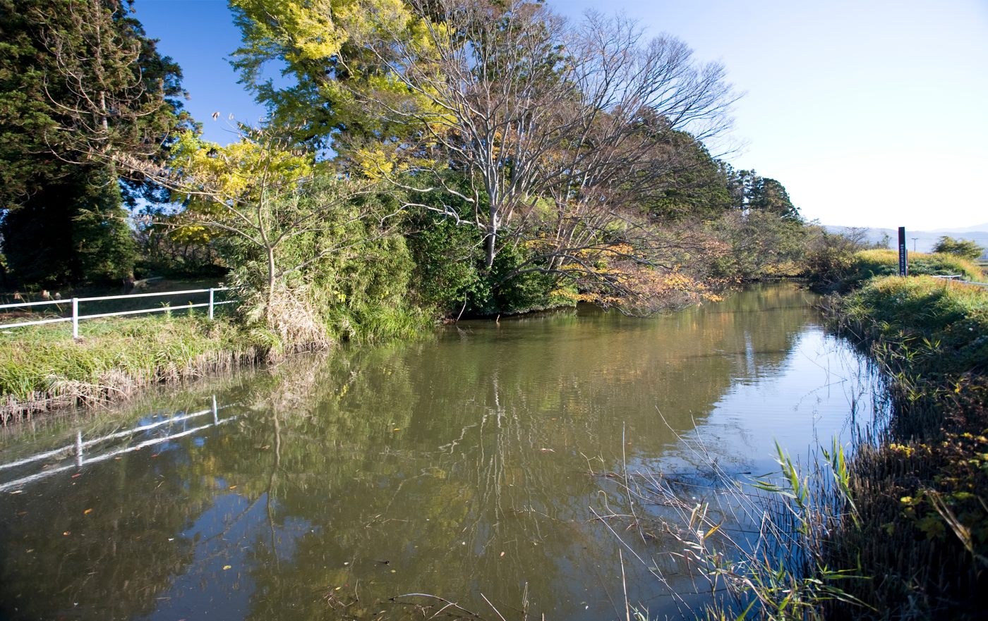 青木城跡の画像