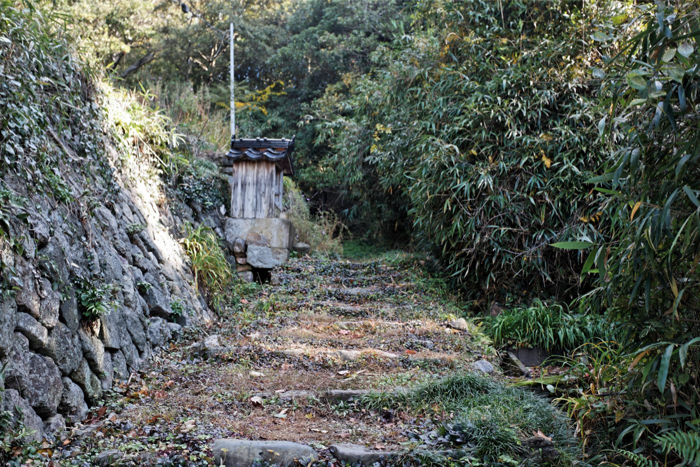 厳常寺坂の画像