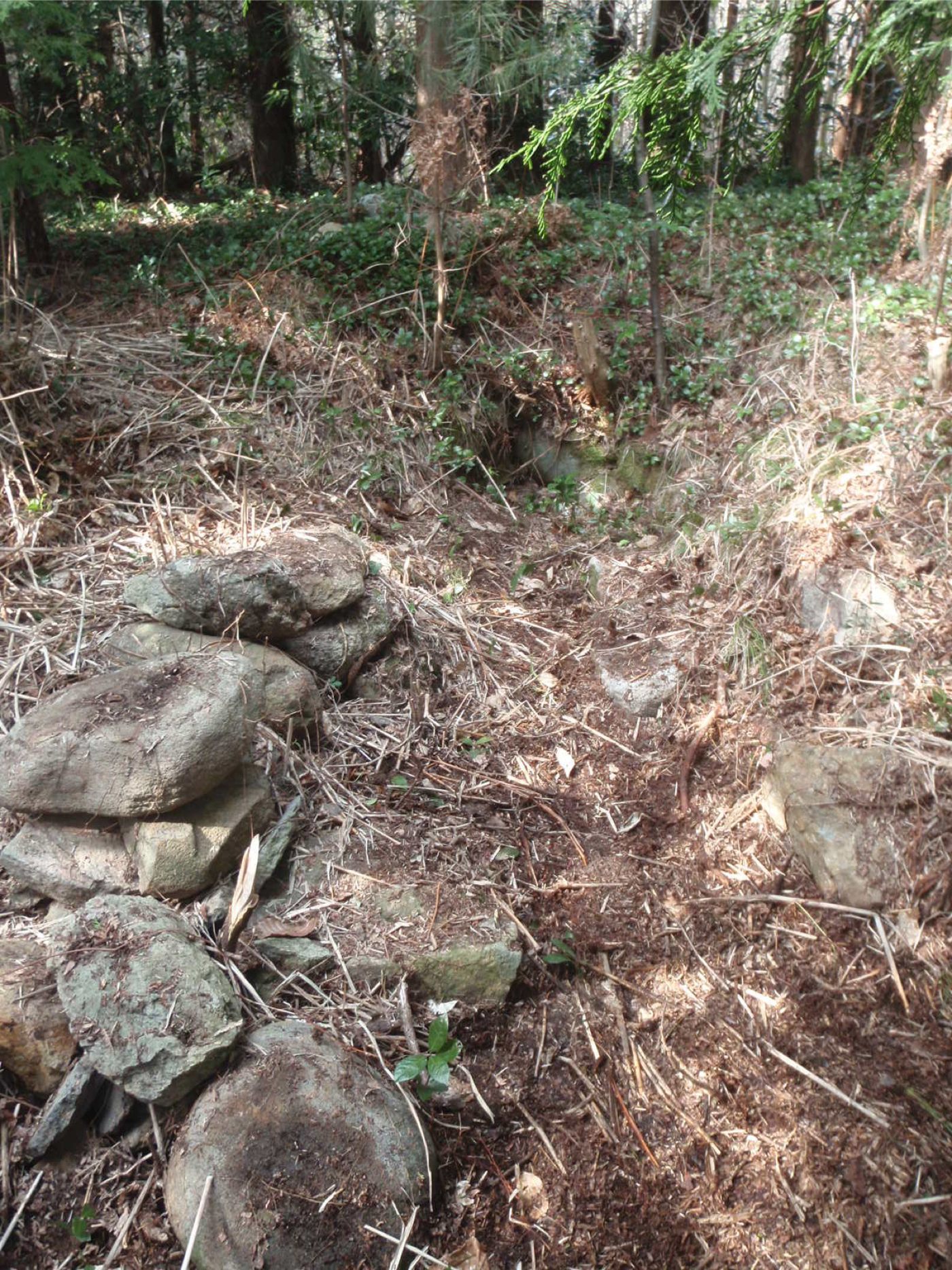 青木蝦夷ヶ平古墳の画像