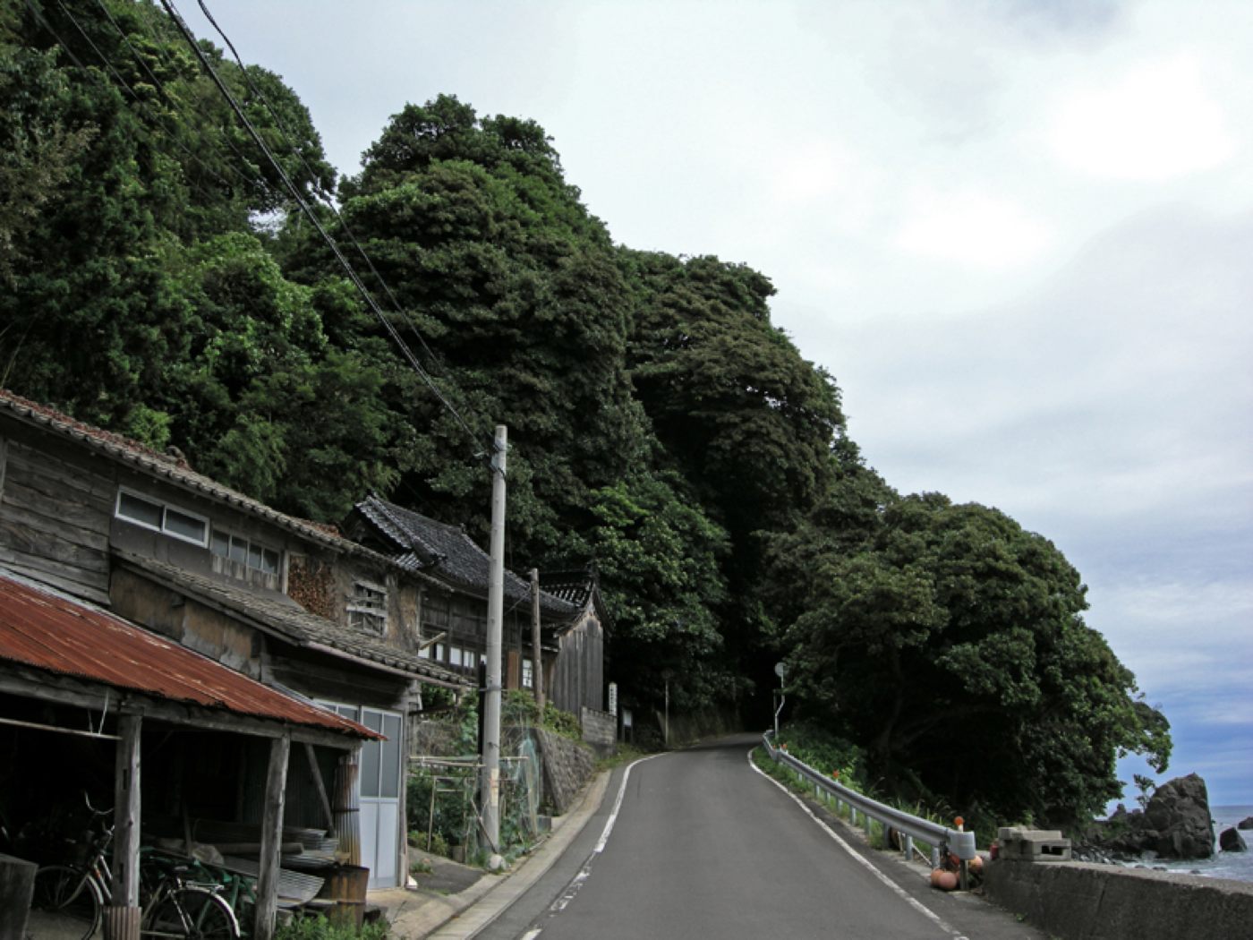 熊野神社社叢の画像