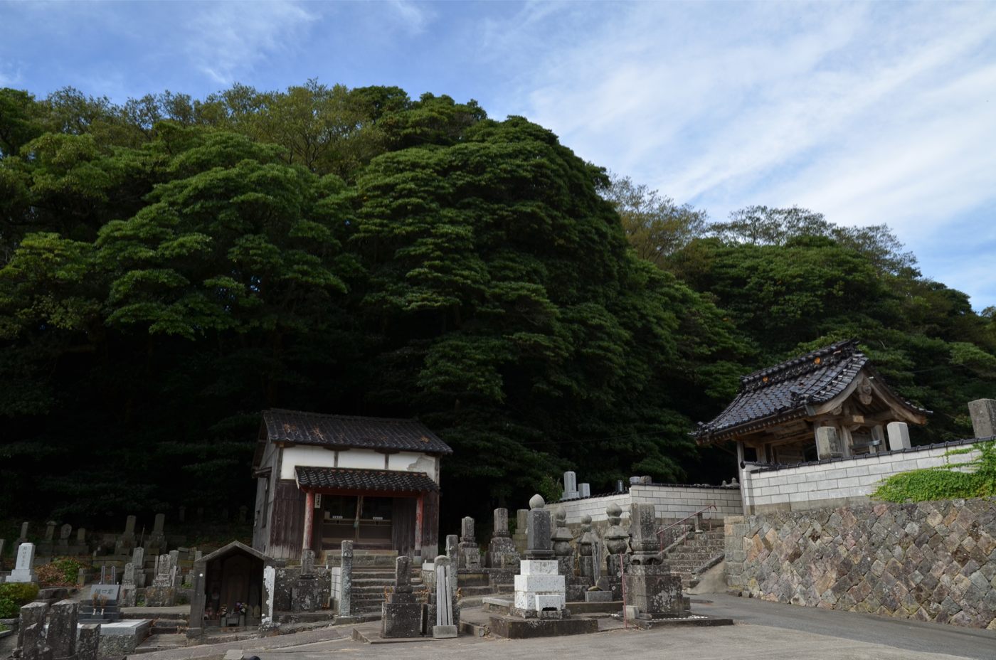 大安寺のタブ林の画像