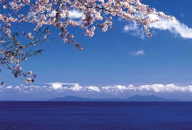 春の佐渡島の画像
