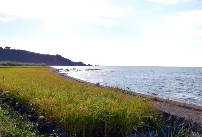 秋の佐渡島の画像