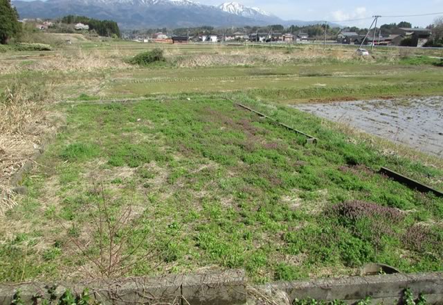 佐和田-021：佐渡島の空き家の画像3