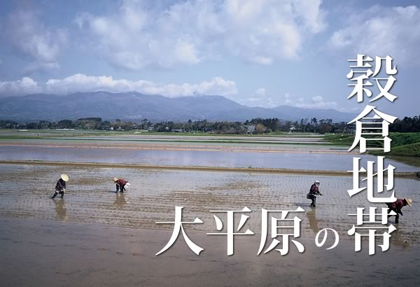 大平原の穀倉地帯