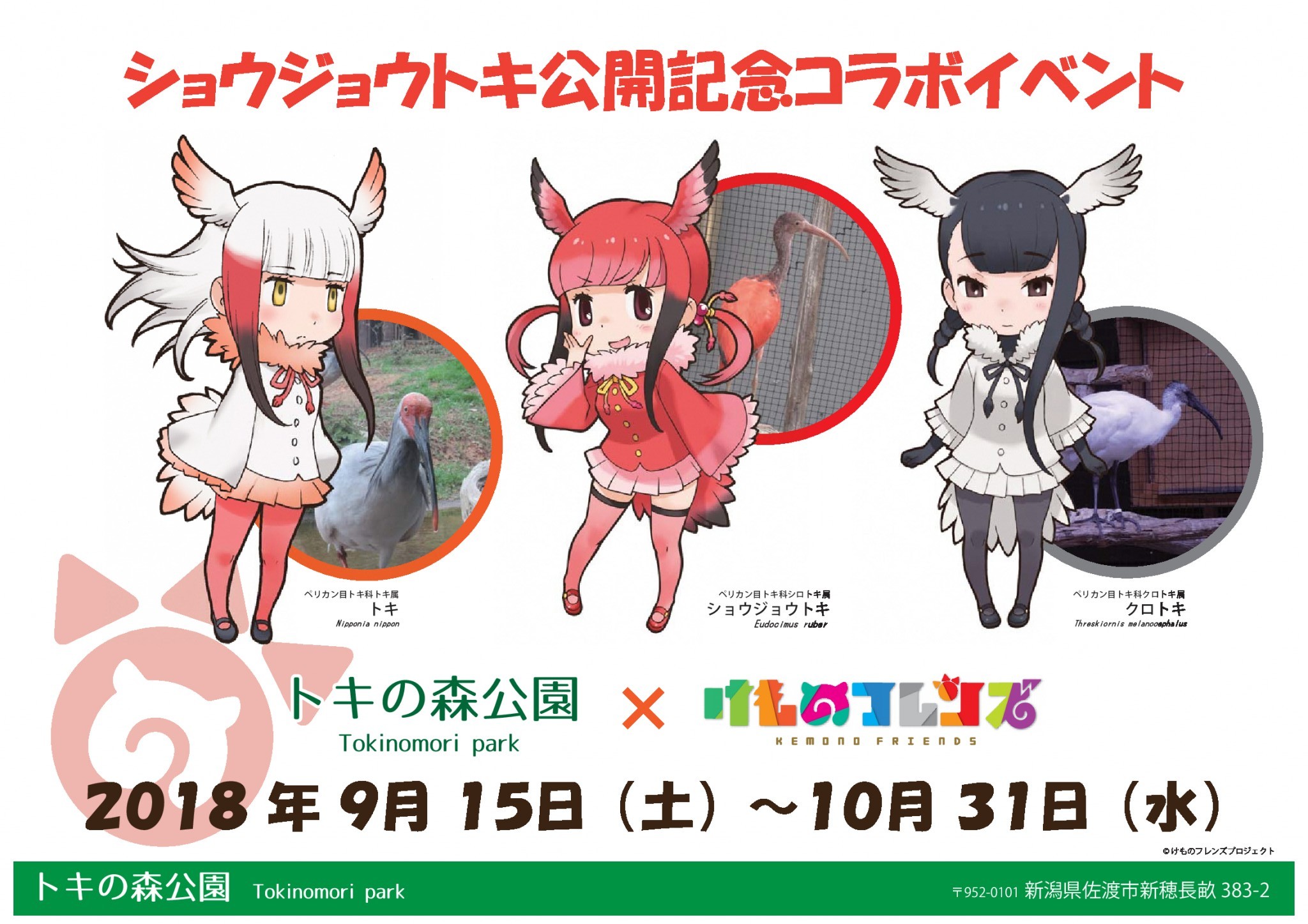 トキの森公園 けものフレンズコラボイベント 新潟県佐渡市公式ホームページ