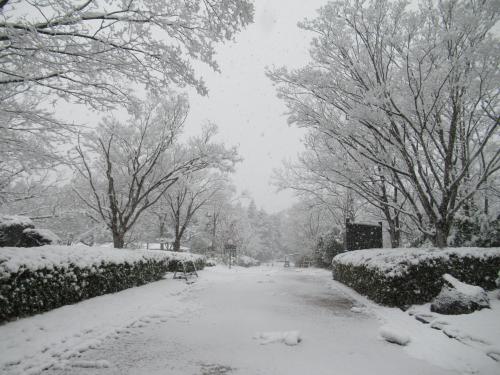 雪景色