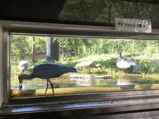 窓から